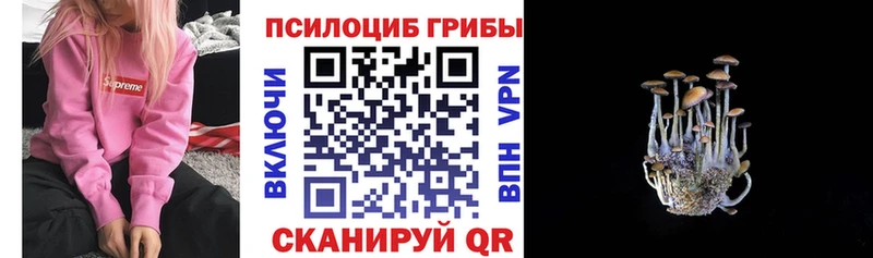 даркнет формула  omg онион  Мыски  Псилоцибиновые грибы мицелий 